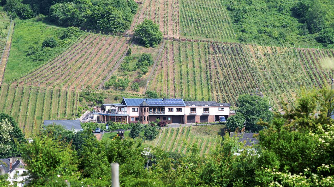 Urlaubsweingut Zecherhof Neef Exterior photo